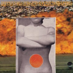 51o9kf4yf5l_sl500_aa240_