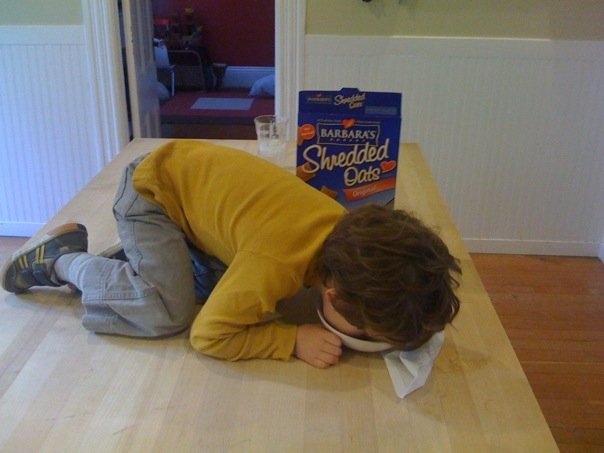 n508161754_1905443_2916